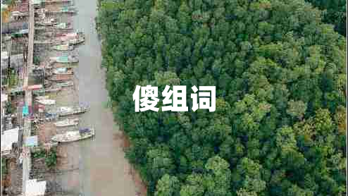 傻組詞
