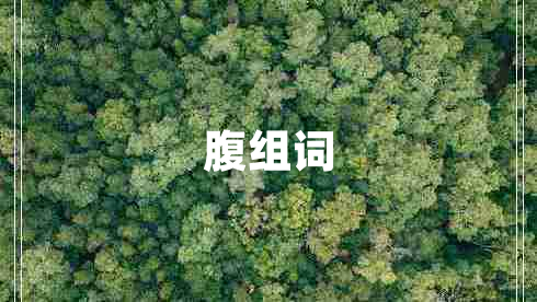 腹組詞