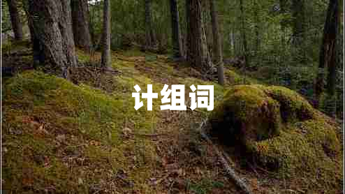 計組詞
