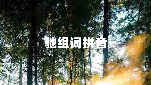 馳組詞拼音