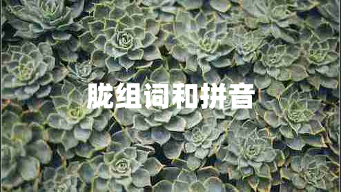 朧組詞和拼音