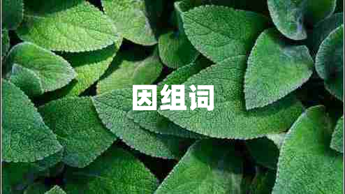 因組詞