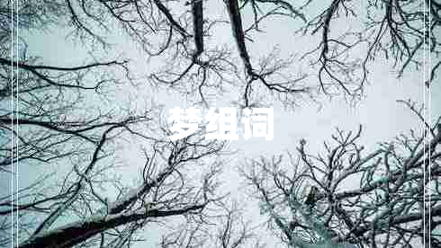 夢(mèng)組詞