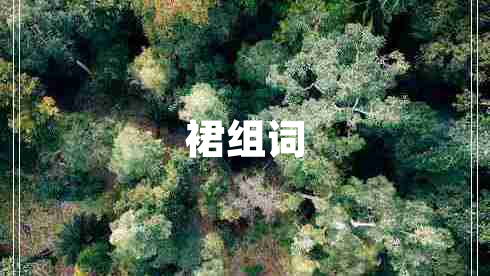裙組詞