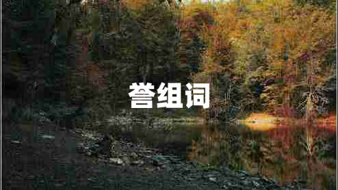 譽組詞
