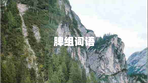 脾組詞語