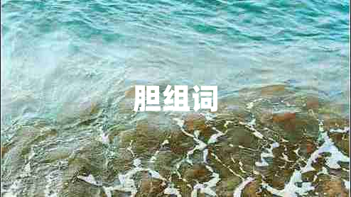 膽組詞