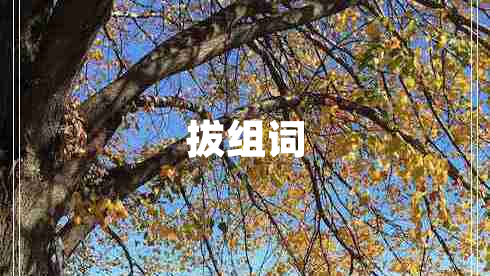 拔組詞