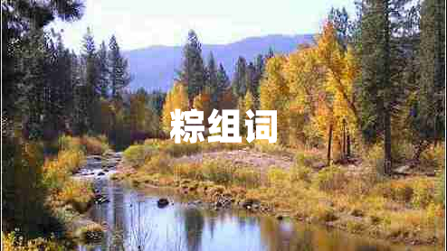 粽組詞