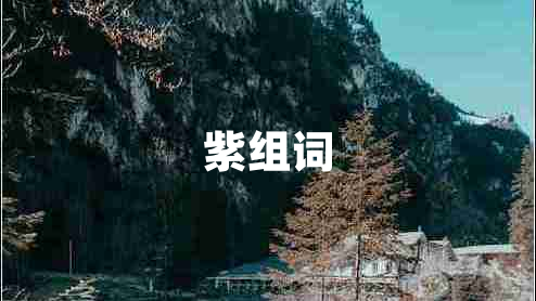 紫組詞