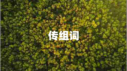 傳組詞