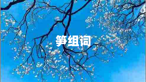 筍組詞