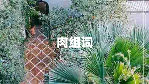 肉組詞