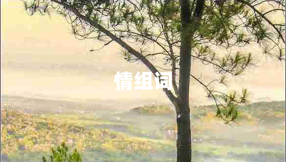 情組詞
