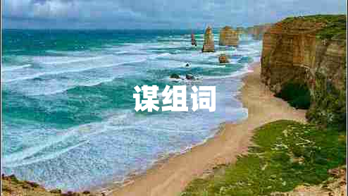 謀組詞