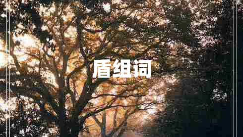 盾組詞