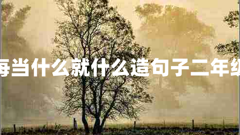 每當(dāng)什么就什么造句子二年級(jí)