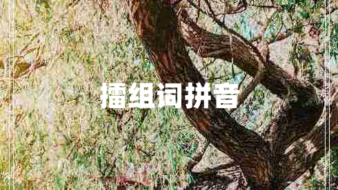 擂組詞拼音