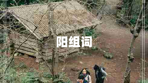 陽(yáng)組詞