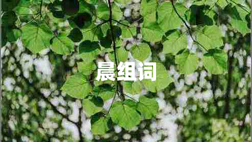晨組詞