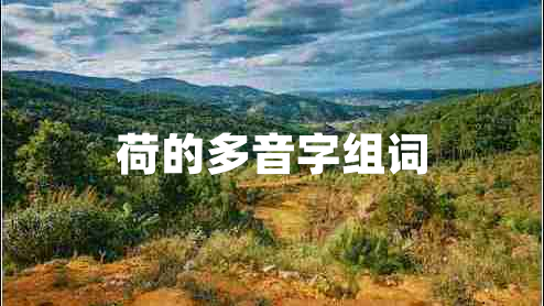 荷的多音字組詞