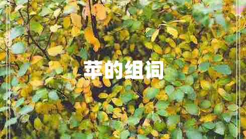 蘋的組詞