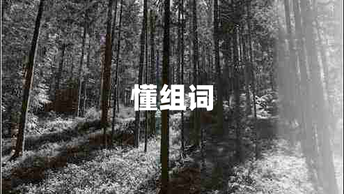懂組詞