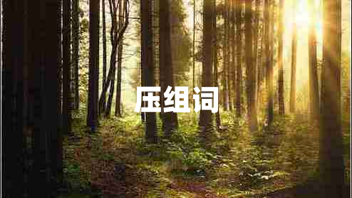 壓組詞