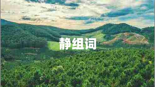 靜組詞