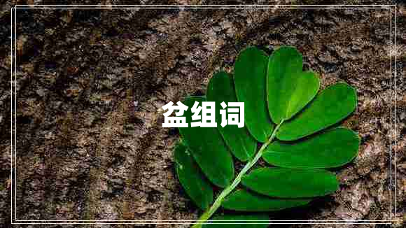 盆組詞