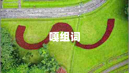嘎組詞