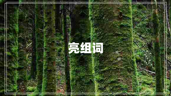 亮組詞