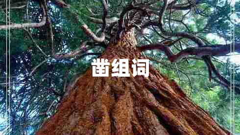鑿組詞