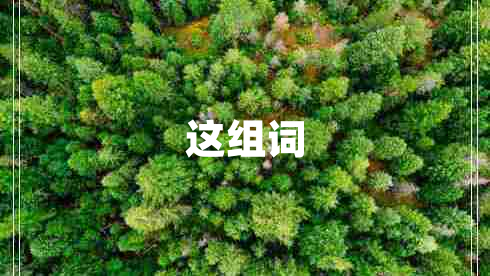 這組詞