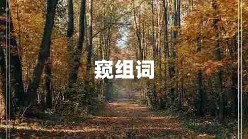 窺組詞