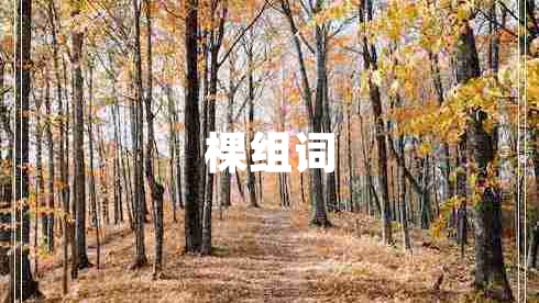 棵組詞