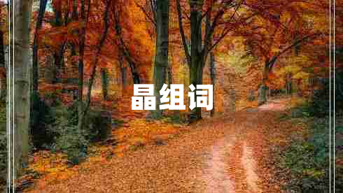 晶組詞