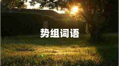 勢組詞語(yǔ)