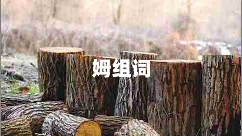 姆組詞