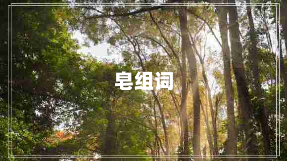 皂組詞