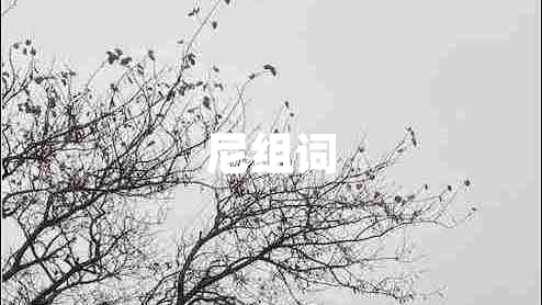 尼組詞
