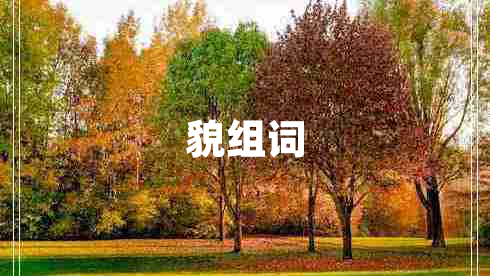 貌組詞