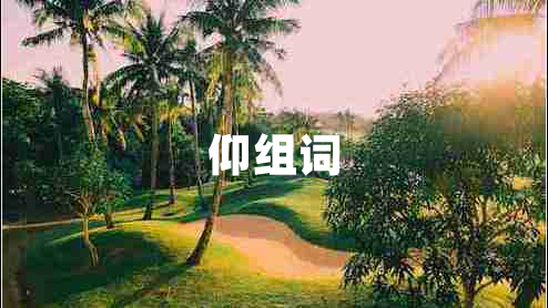 仰組詞