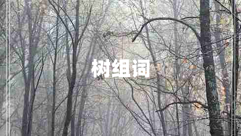 樹(shù)組詞