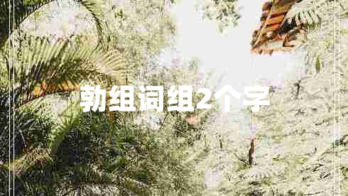 勃組詞組2個(gè)字