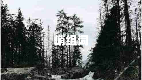 峭組詞