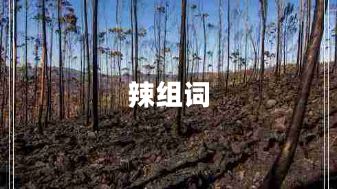 辣組詞