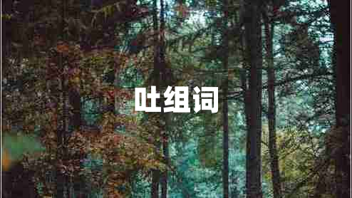 吐組詞