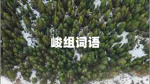 峻組詞語