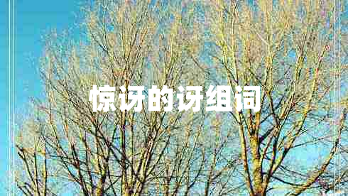 驚訝的訝組詞